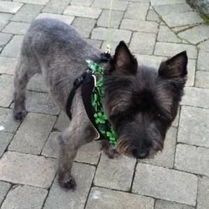 Meet your Posher, Jack